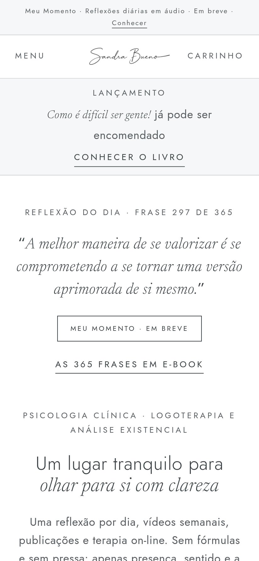 Tela real do projeto Sandra Bueno